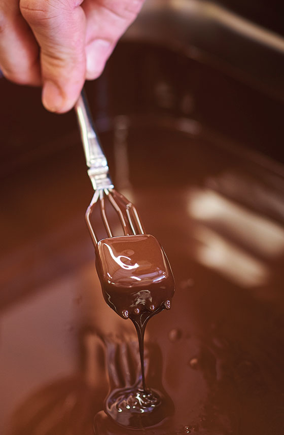 Chocolat sans sucres : tout ce qu'il faut savoir - Le blog d'Initiatives  Chocolats